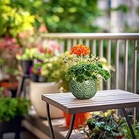 Vista 7 de Macetas de Cerámica Thirtypot - Maceta de 4 Pulgadas con Agujero de Drenaje, Macetas Pequeñas para Plantas de Interior y Exterior, Maceta Redonda