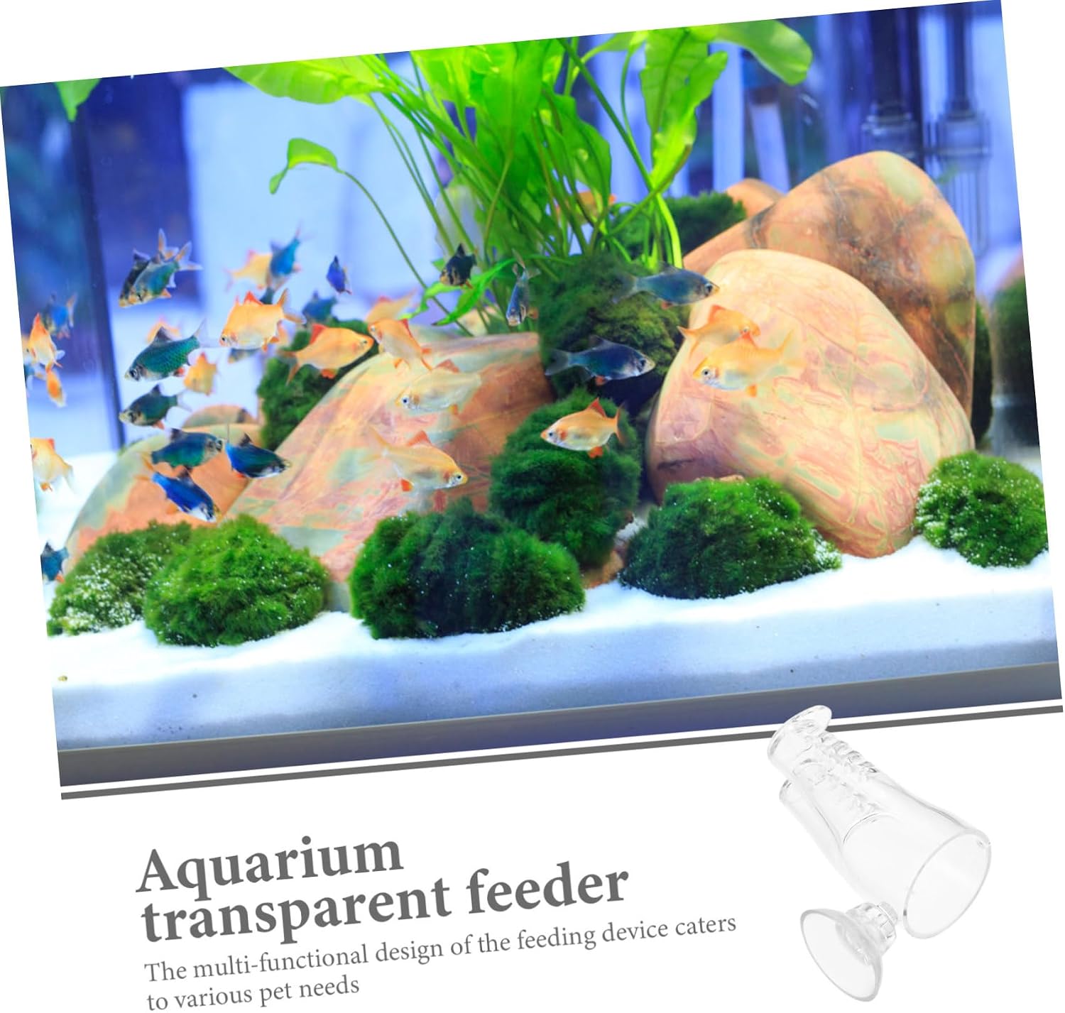 BESPORTBLE 4pcs Shrimp Feeding Tool Pants Design for Aquariums Easy Sinking Feeder Cup Prevents Food Waste and Water for Shrimp Fish and Pets