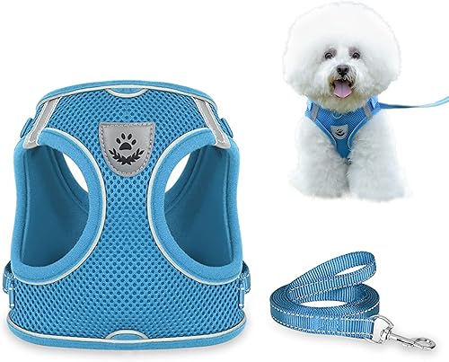Juego de arnés y correa para perro para caminar, arnés chaleco a prueba de escape con malla suave, velcro ajustable, tiras reflectantes para