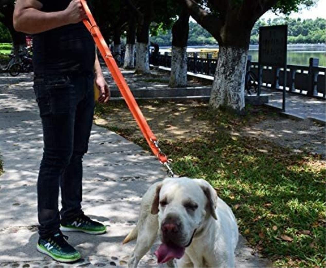 Morbido Guinzaglio Per Cani Guinzaglio Per Cani Imbottito In Tessuto Da Immersione Doppia Testa Due Guinzagli Per Collare A Catena P Cane Lungo E Corto Regolabile Antiscivolo Flexi(Black,1.5 * 2m)