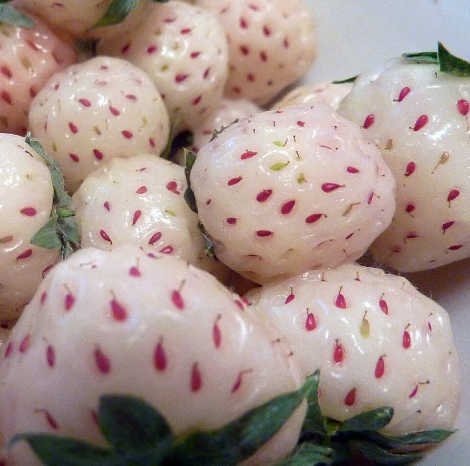 Белая клубника со вкусом ананаса