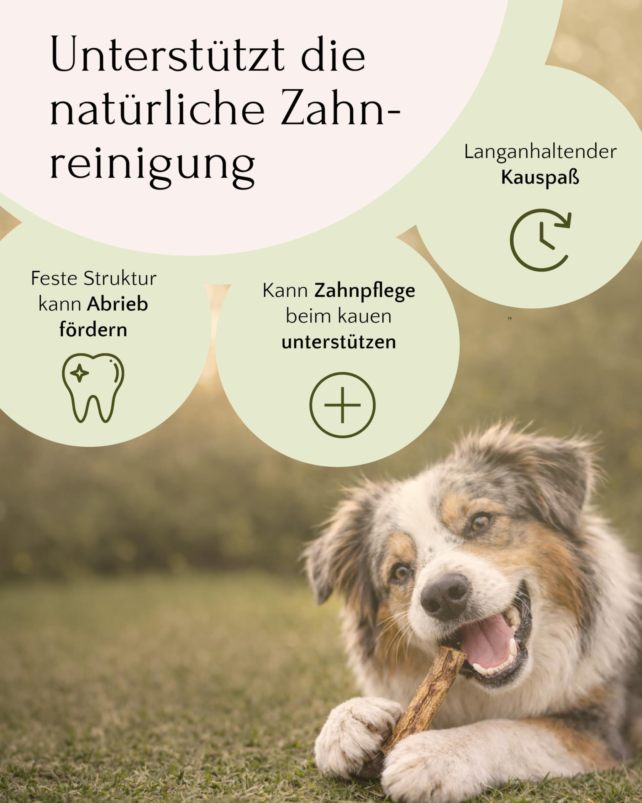 FAVLY – Premium Lammohren 2x450g für Hunde – luftgetrockneter Kauartikel zur Zahnpflege – 100% natürlicher Hundekausnack ohne Zusätze – besonders gut verträglich & hypoallergen