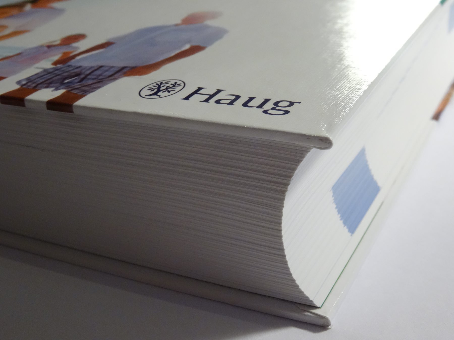 Handbuch der Biochemie nach Dr. Schüßler: Grundlagen, Materia medica, Repertorium