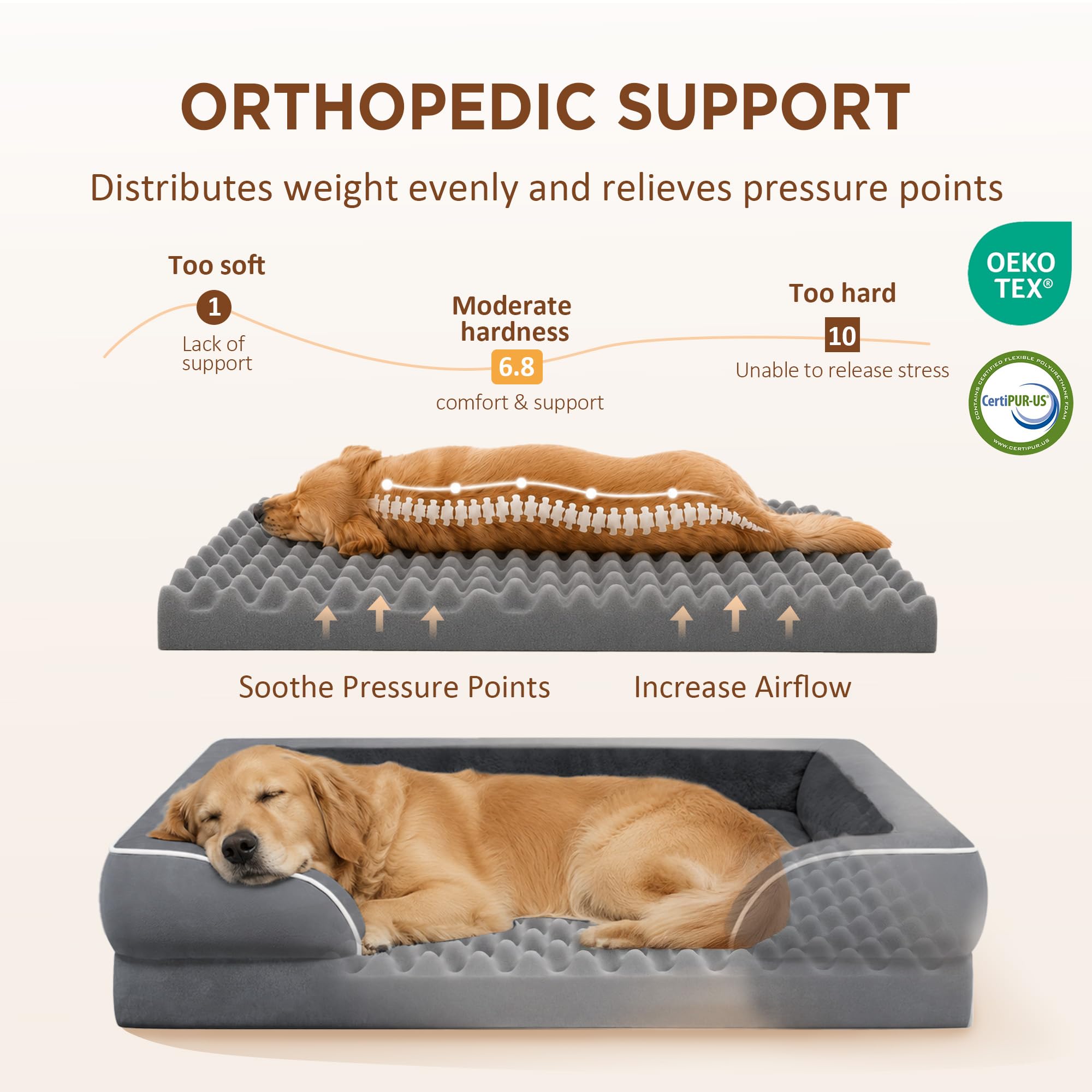 Comfort Expression Cama ortopédica para Perros extragrandes de 53 x 42 Pulgadas, Cama para Mascotas XXL de Espuma Impermeable con Cojines extraíbles, sofá para Perros con Funda Lavable y Parte