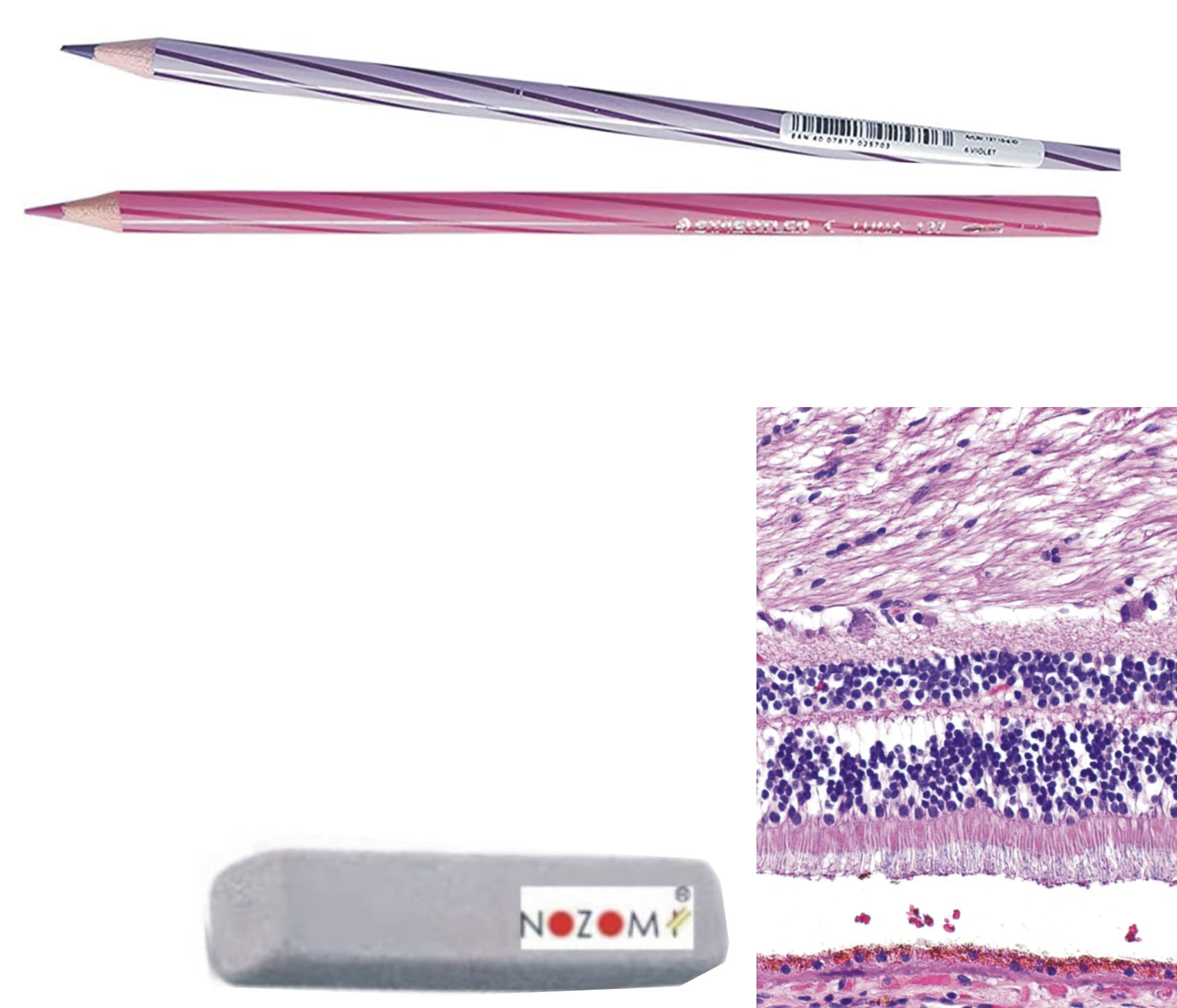 NOZOMI Non Breaking - Hematoxylin and Eosin Pencil Approved by most Medical Councils (B0B7NV3YCW) Amazon Price History, Amazon Price Tracker