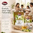 GTEE Green Tea Bags | Antioxidant Rich | Ginseng, 25 Tea bags gallery image
