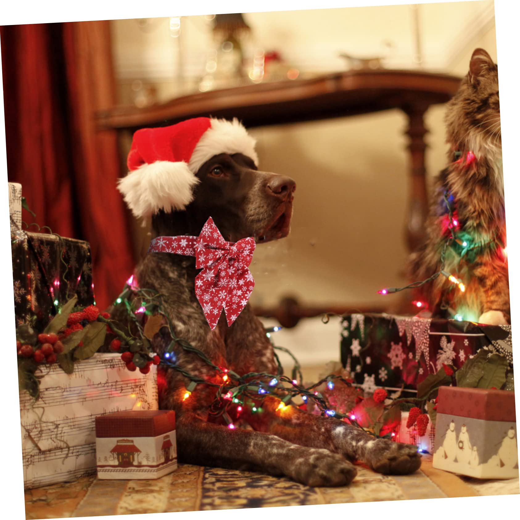 BESTonZON Collier Ajustable pour Chat avec Nœud Décoratif Collier de Noël pour Chaton Accessoires pour Animaux
