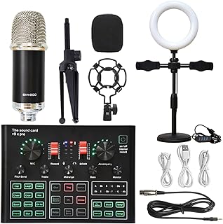 Sound Card Kit Professional Studio Condenser Microphone Bundle WXH1000 Mic Kit With Live Sound Card Wireless Karaoke Bluetooth Studio Setup For Recording Music ( Color : Silver BM900 LED , Size : 1 )