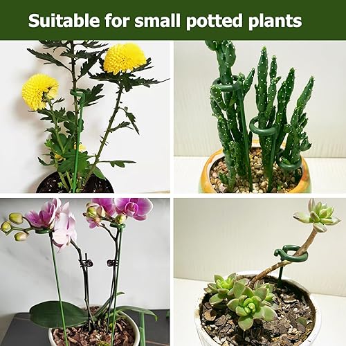 Miniatura 5 de Paquete de 30 estacas pequeñas para plantas de interior, 3 tamaños de 6.710.714.6 pulgadas, estacas de soporte para plantas de un solo tallo para