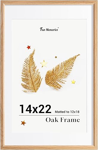 Miniatura 565 de Fun Memories Portarretratos de metal de 16 x 20 pulgadas con paspartú de 11 x 14 pulgadas, acabado de aluminio cepillado, parte delantera de vidrio