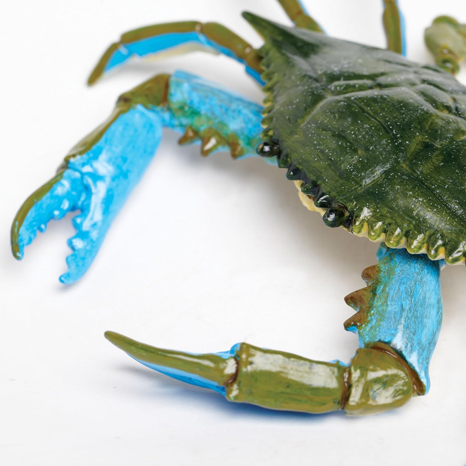 Safari Ltd. Blue Crab Figurine - Realistic 7" Model Figure - Educational Toy for Boys, Girls, and Kids Ages 18M+