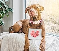 Vista 126 de DOGWONG Collar de perro Airtag de algodón y cáñamo, collar resistente para perros con soporte para Airtag, collares verdes para perros pequeños