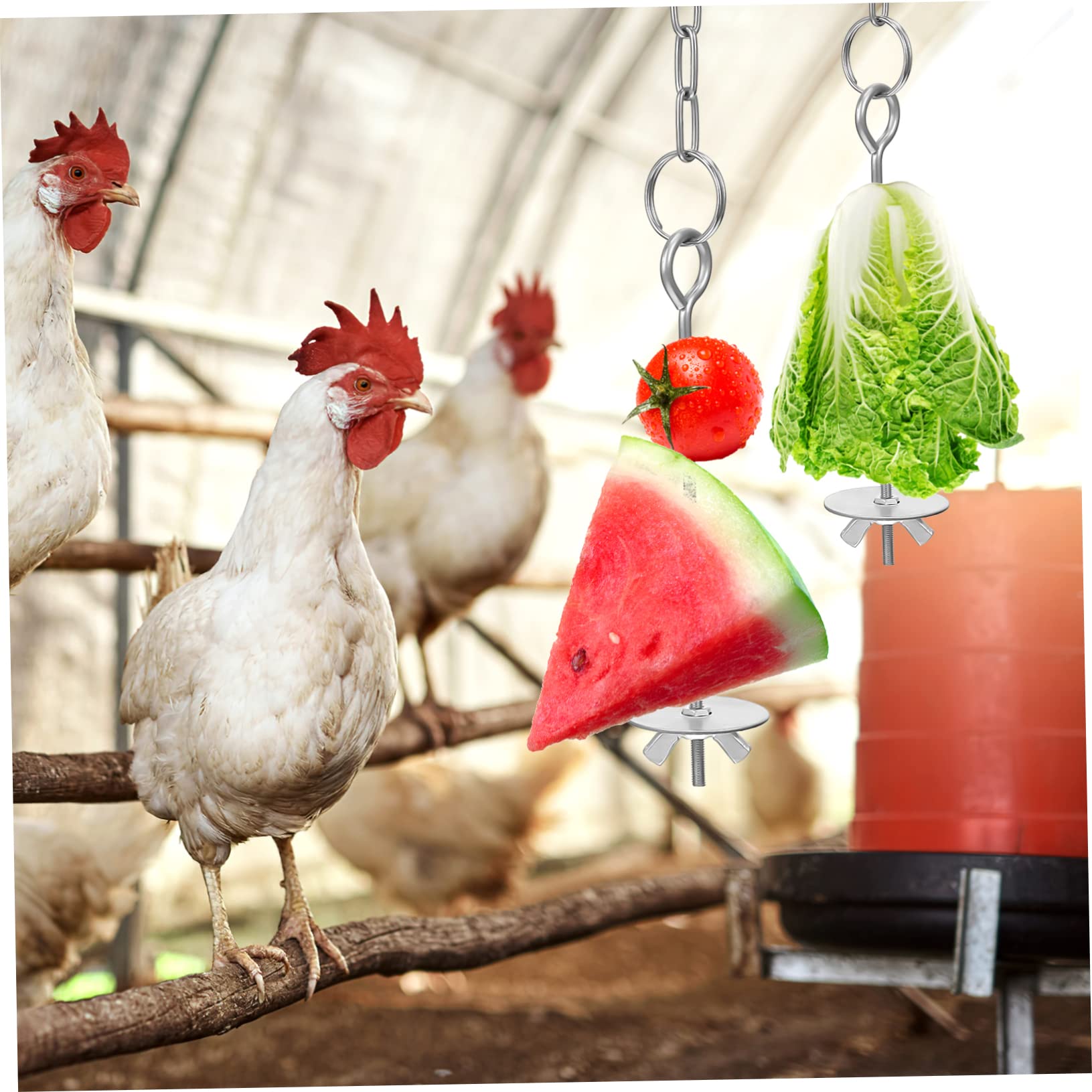 Mangiatoia Sospesa per Pulcini e Galline in Acciaio Inox, 4 Pezzi, con Catena Regolabile e Gancio, per Gabbia o Ciotola