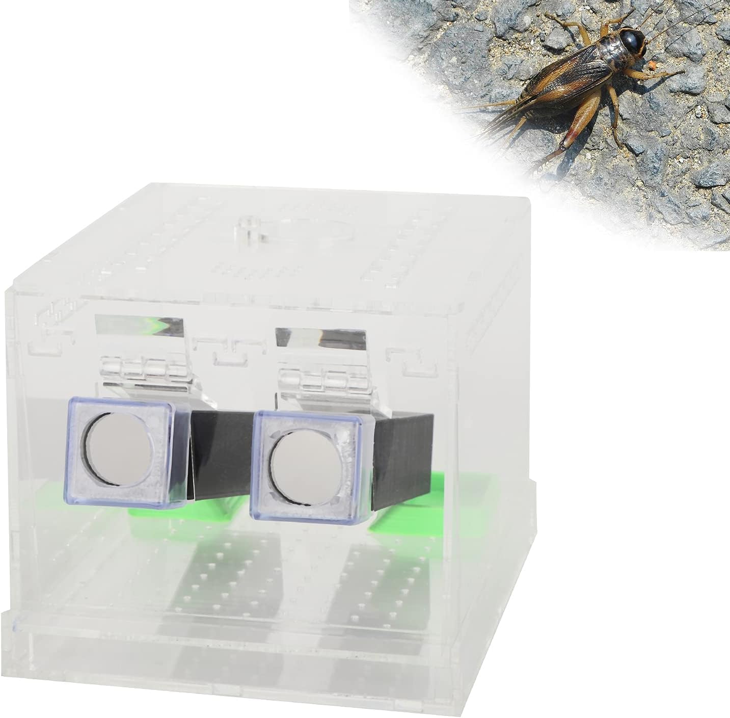 Transparent Acrylic Reptile Feeding Box with Tubes, Cricket Keeper Pen, Cockroach Care Kit, Large Size Viewing Container