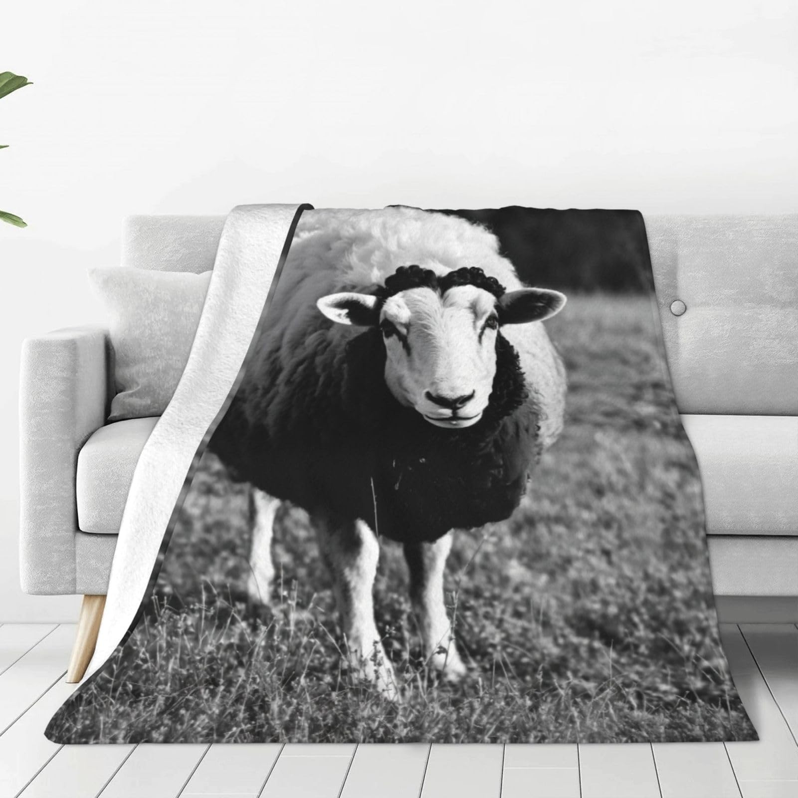 Plaid polaire imprimé mouton pour canapé et soirées cocooning