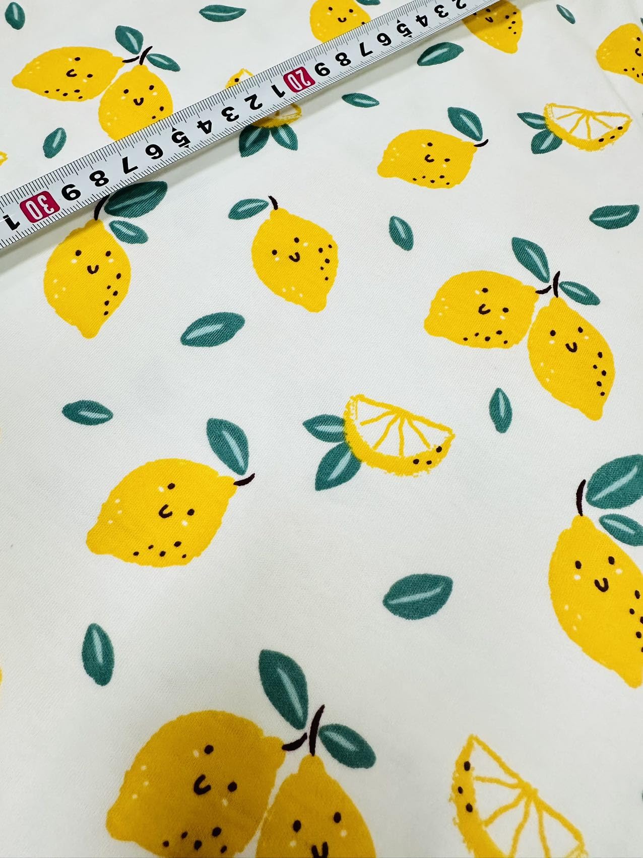 ハンドメイド　子供服　ニット　生地一覧　⑦ スムースニット生地 ボーダーライオン ハンドメイド 犬服 子供服