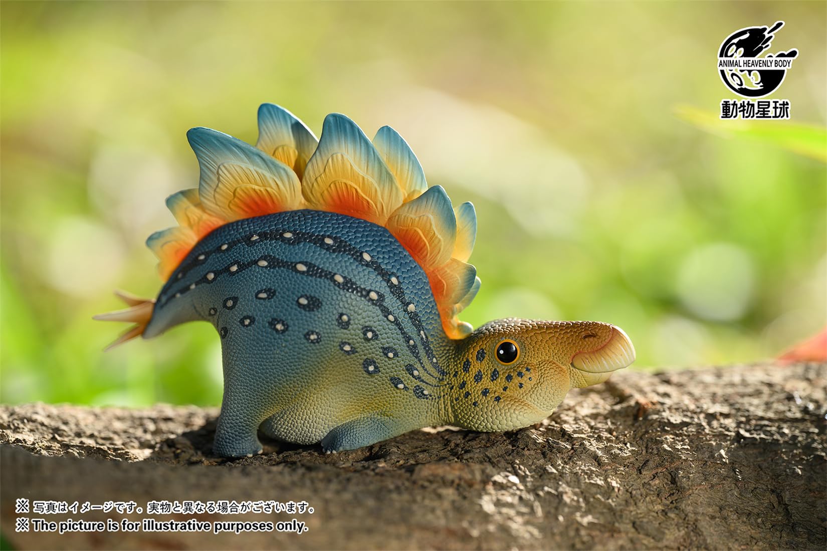 Amazon | 動物惑星＆ROUNDREX ANIMAL ブラインドボックス