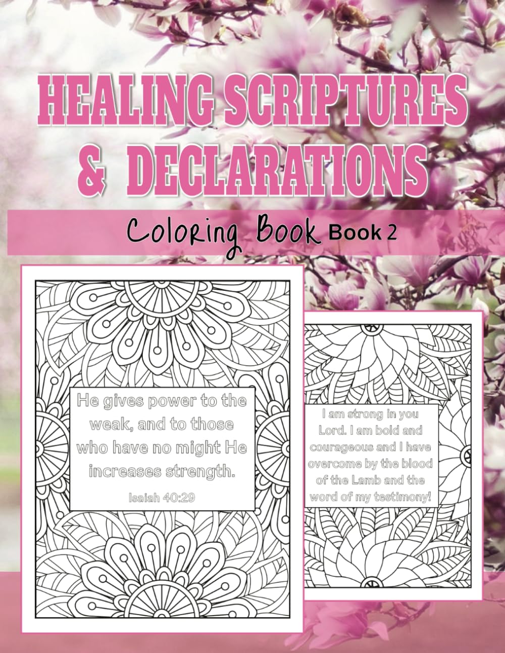 Healing Scriptures & Declarations (Book 2)