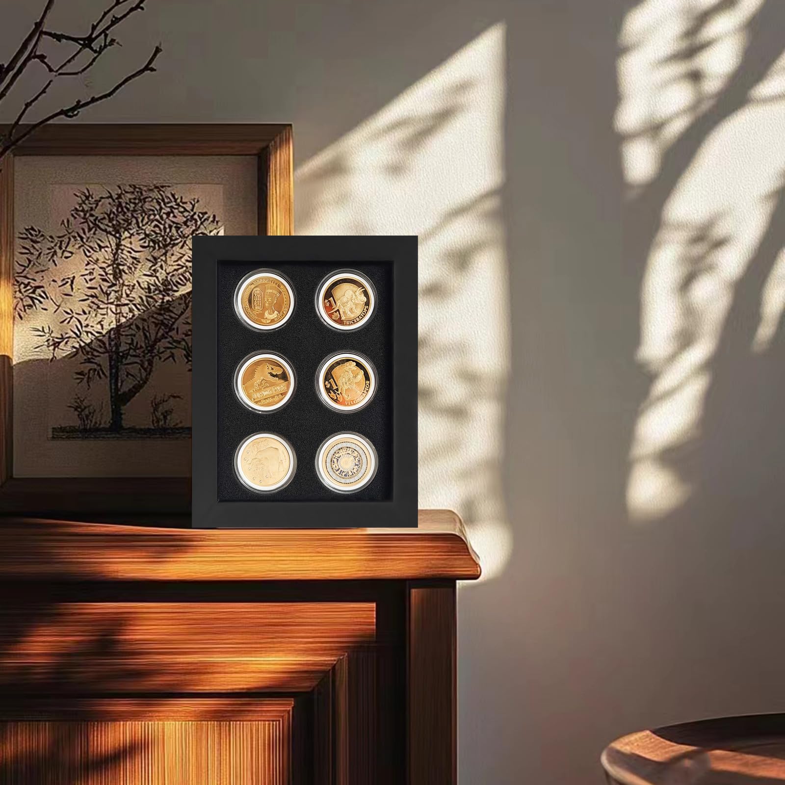 Challenge Coin Display,Coin Display Case,Casino chip Display Cabinet Shadow Box,6 Coins Coin Display case, Military Challenge Coins Display Holder,Solid Wood Frame,Glass Door, with 6 Coin Capsules.