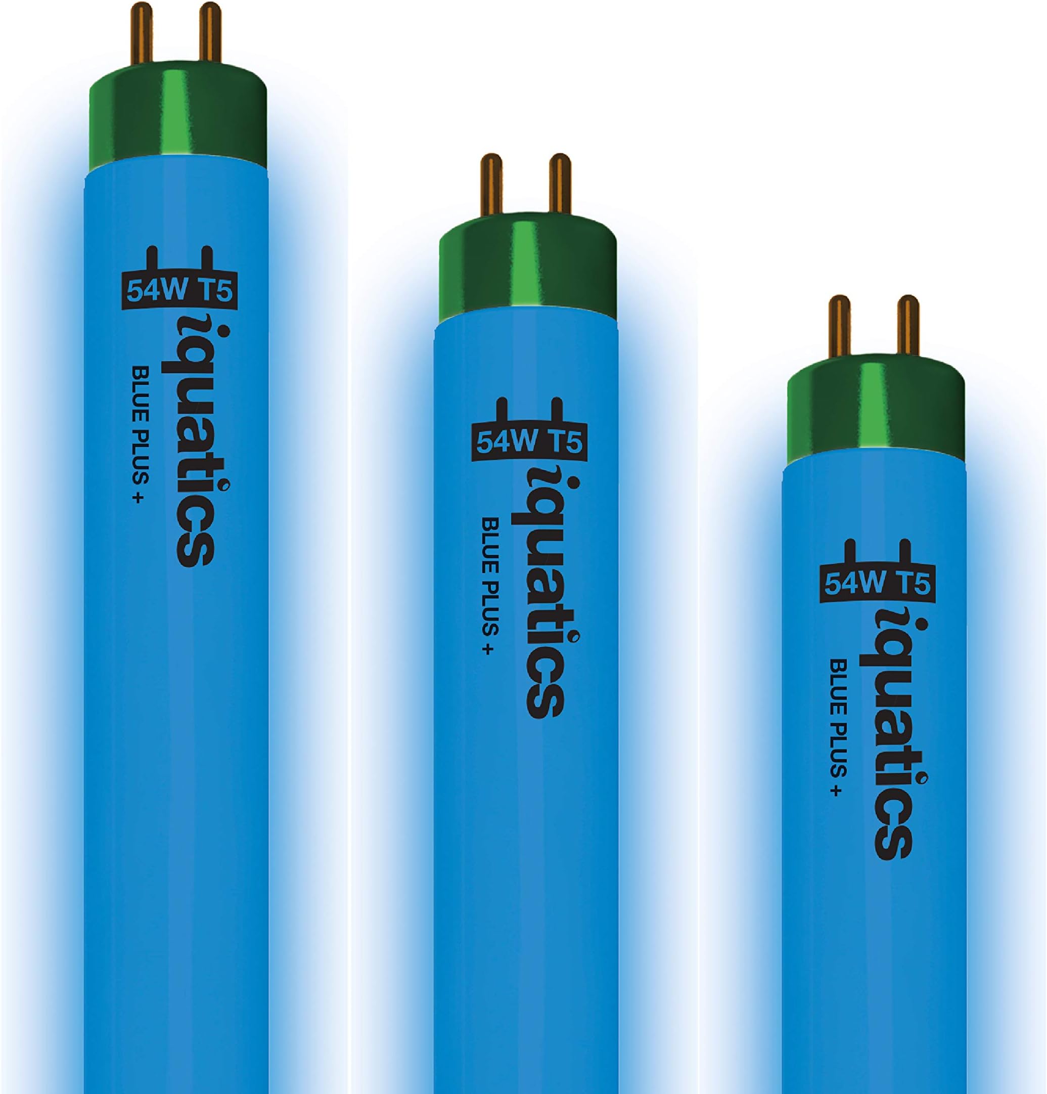 iQuaticsJuwel Compatible Aquarium Fluorescent Light Bulb T5 (3 Pack), Blue Plus, 54w 1200mm 48”