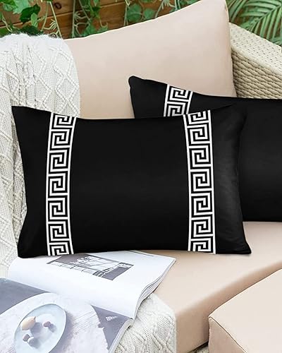 Miniatura 6 de Funy Decor Juego de 2 fundas de almohada impermeables para exteriores, diseño geométrico de llave griega, fundas lumbares, fundas decorativas negras