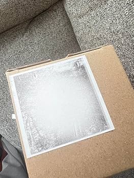 アートポスター 川内倫子 エキシビジョンポスター 4186e6580166e28aeea22d52120b1c