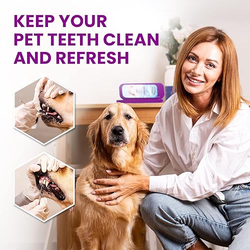 Vista 15 de Dental Duty Herramientas dentales, púa dental para herramientas de limpieza de dientes, removedor de placa para dientes con kit de limpieza