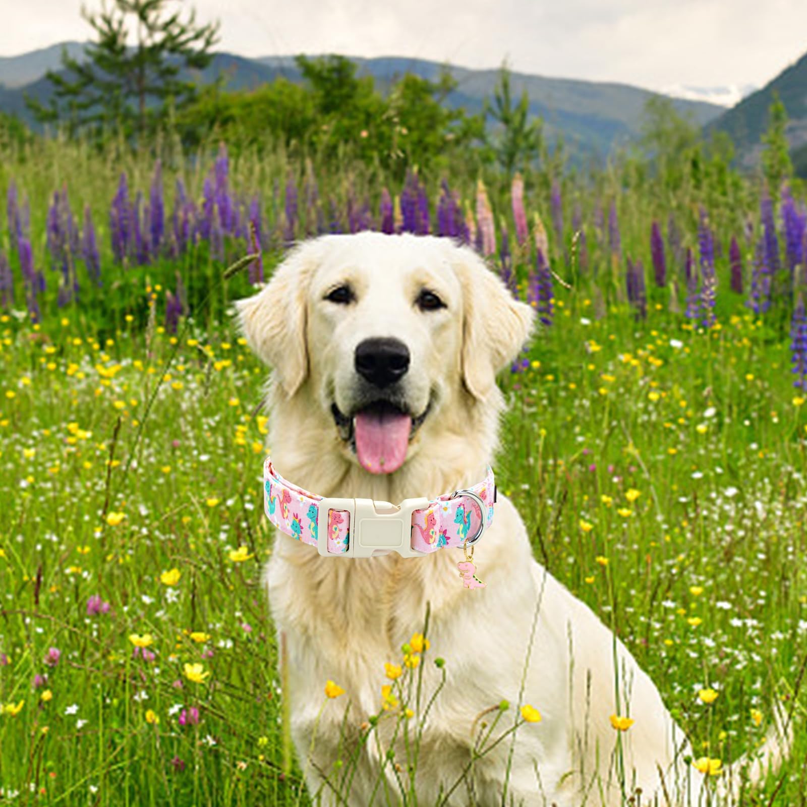Dog Collar Dinosaurs Pattern Cute Collar for Small Dogs Spring Summer Female or Male Collars Pets Gift Adjustable Heavy-Duty Pet Collars