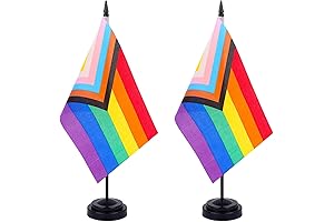 2 Pack Pride Rainbow Flag New Intersex Progress Deluxe Desk Flag Set