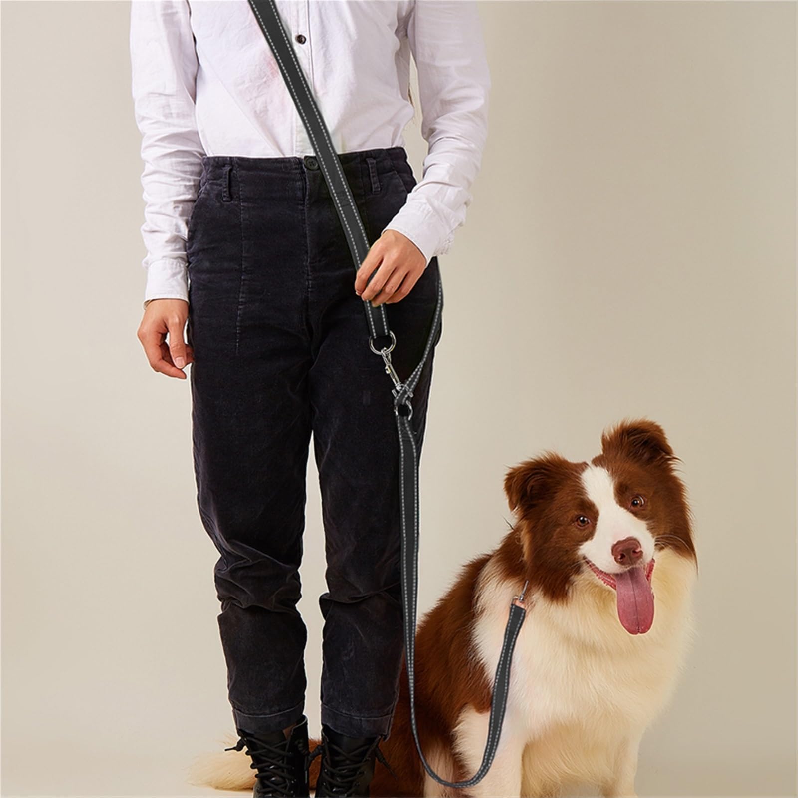 Ceinture de Traction pour Chien Laisse en Nylon Souple for Chiens de Compagnie, Corde Traction Mains Libres for Grands(Black)