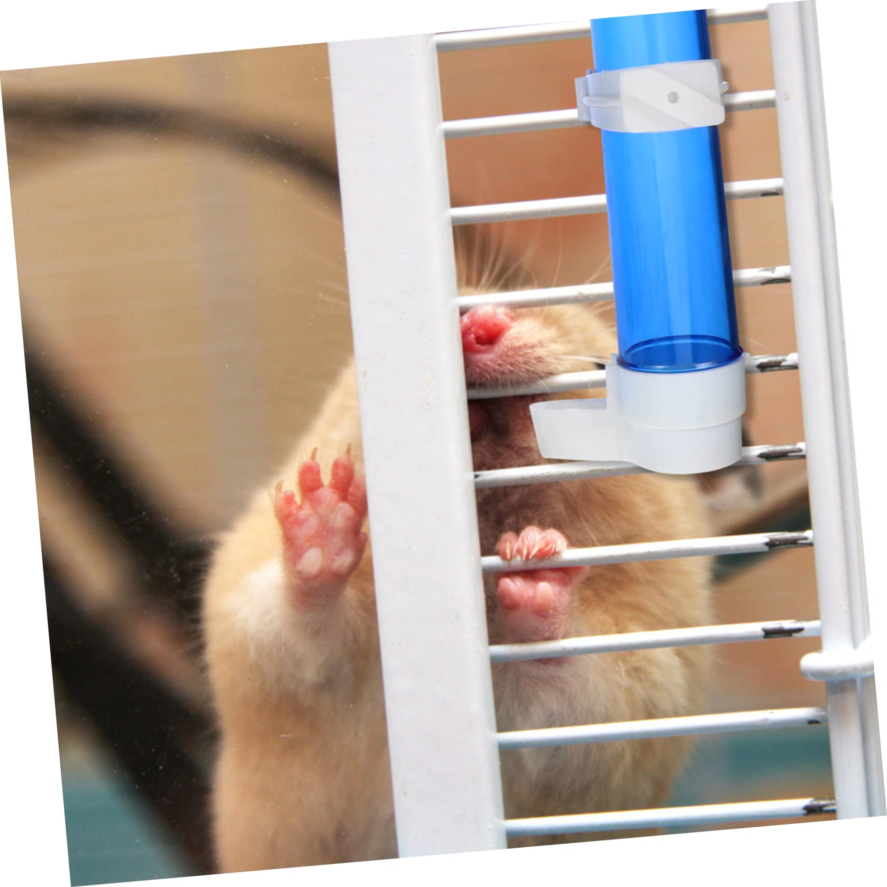 POPETPOP 12piezas Botella De Agua Automática para Pájaros Bebedero De Plástico para Periquitos y Canarios Instalación y Accesorios para Transparente