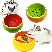 Vista 1 de JSLZF Cuenco de cerámica para ratas, plato pequeño para comida para hámster, evita que se golpee, salpicaduras de alimentos y masticar, plato
