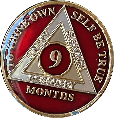 Miniatura 4 de Chip de sobriedad rojo mandarina metálica de medallón AA de 9 meses