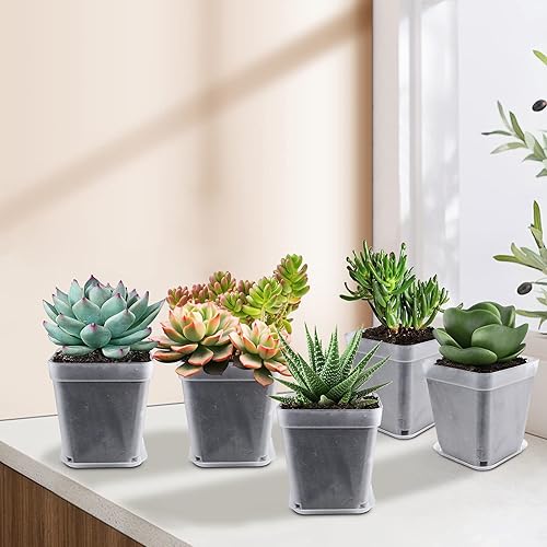 Miniatura 7 de Macetas cuadradas de plástico, 28 piezas de 3 pulgadas con platillos y etiquetas para plantas, macetas reutilizables para plantas de semillero,