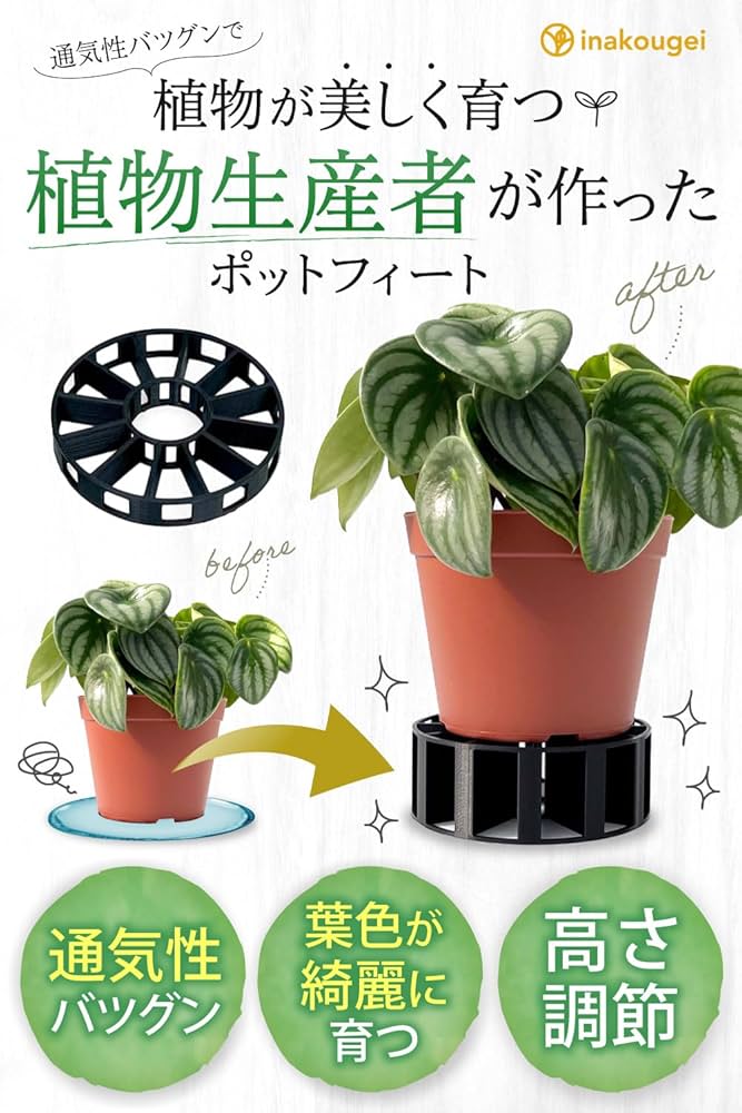 ※染付け夫婦鯉深鉢二重高台/ 染付け夫婦鯉深鉢二重高台/