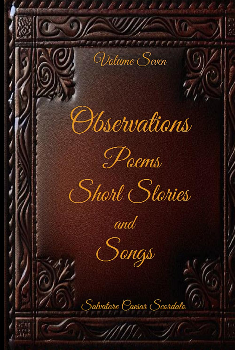 Observations, Poems, Short Stories and Songs: Volume Seven