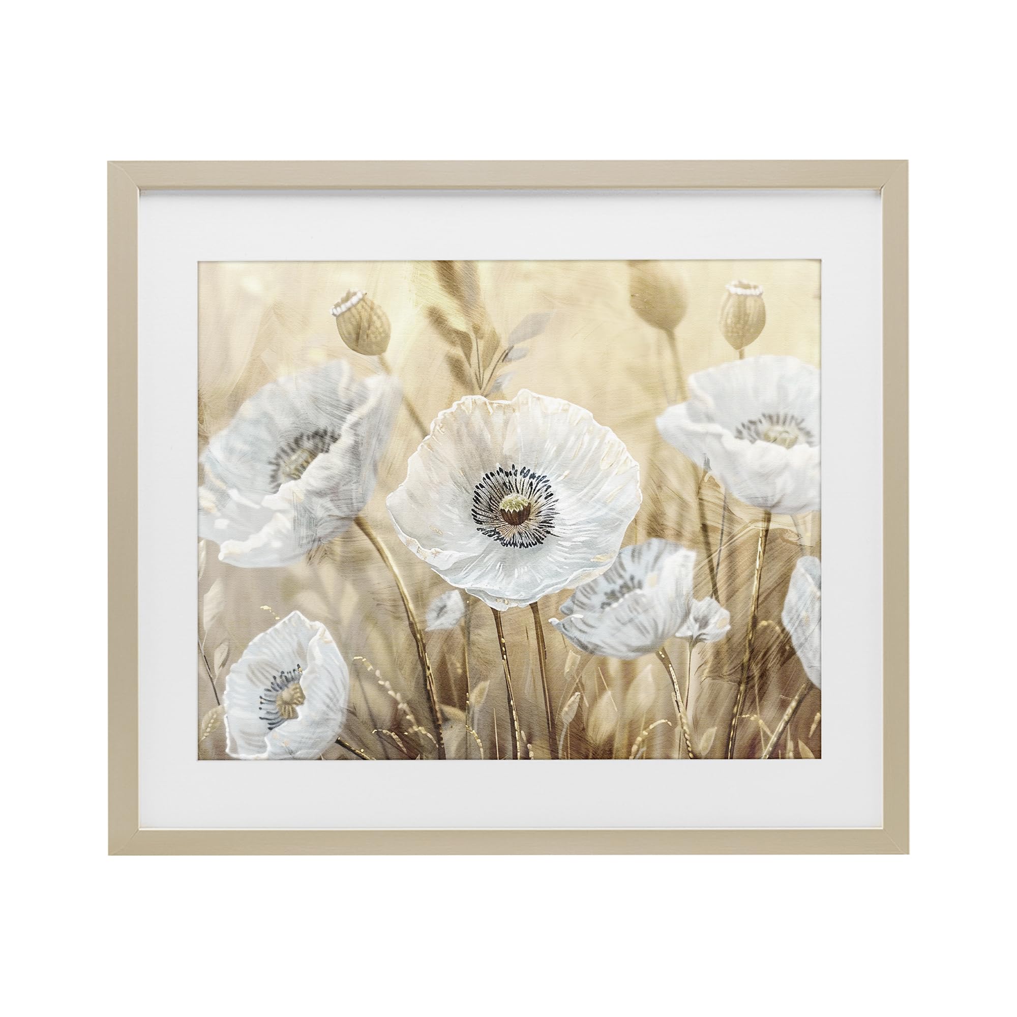 Stupell Industries 'White Poppies Beige Field', Framed Print Under Glass, Brown, 21 x 17 Inches, Easy to Hang and Sturdy, Made in USA, by Kim Allen