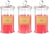 Aromatherapy Candles, Scented Candles for Home As a Holiday Candle Gift for Your Lover, Family, Elder, Friends and Colleagues Set of 3 - Rose