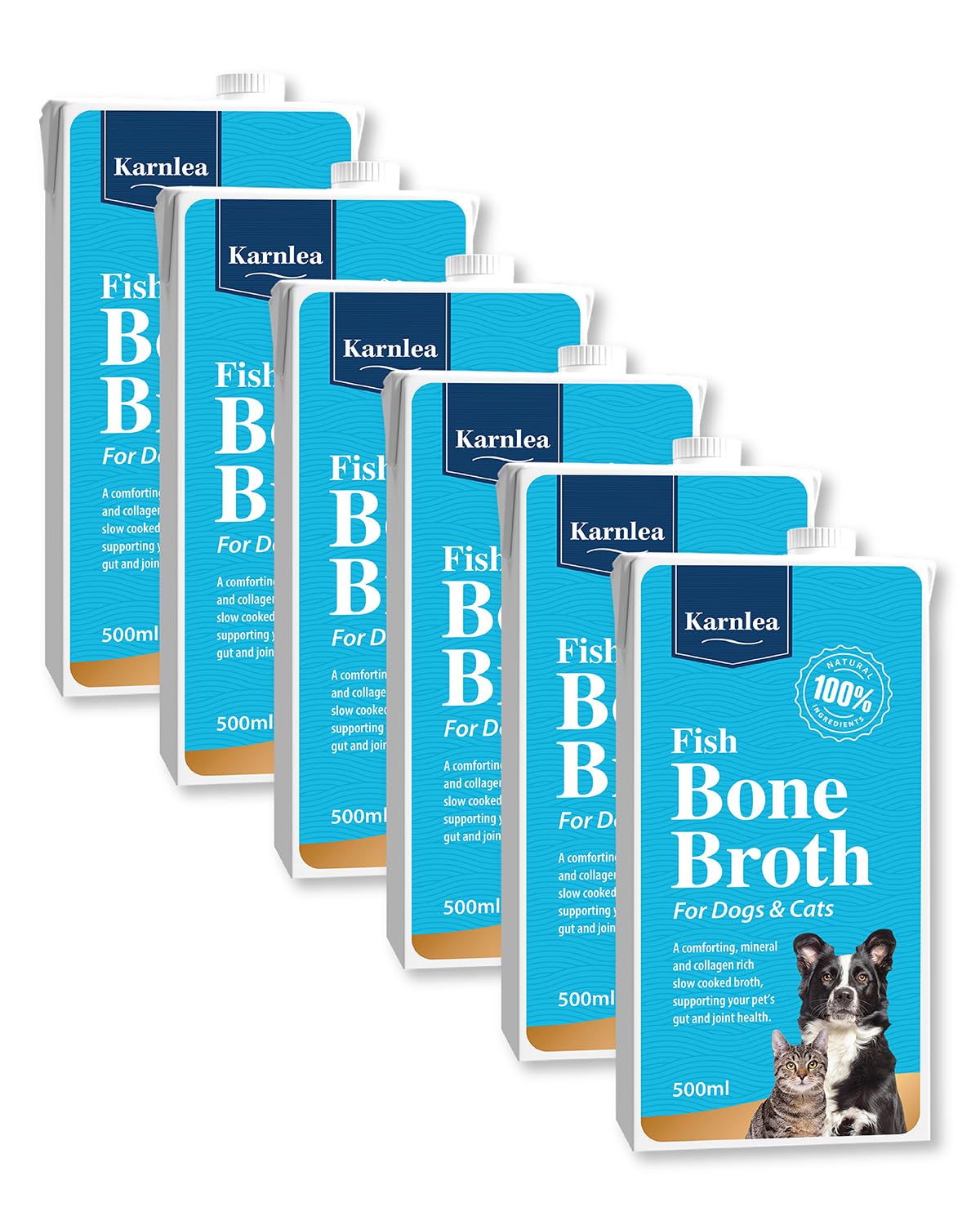 Fish Bone Broth (Fish Bone Broth x 6)
