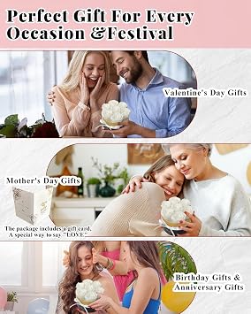 Changshunqi Preserved Roses, Forever Flowers in Luxury Box Preserved Flowers for Delivery, Eternal Rose Flower Long-Lasting 2-3 Years, Anniversary Rose Forever Birthday Gifts for Women Mom