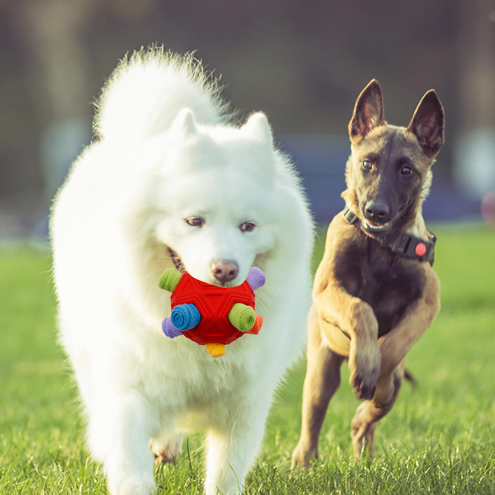 Palla da fiuto per cani, abilità giocattoli interattivi portatili per cani, giocattoli da masticare per l'arricchimento del cane, incoraggiano le abilità naturali di foraggiamento Slow Food Training