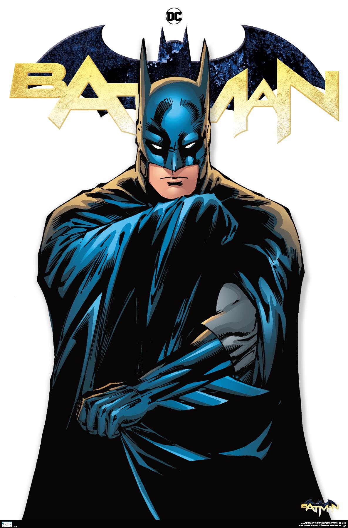 DC Comics Batman Feature Series Wall Poster, 34L" x 22.4W", Unframed Version