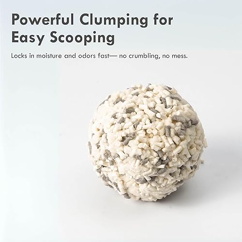 Miniatura 3 de Lady N - Arena para gatos de tofu, fuerte aglomeración, ultra absorbente, sin polvo, bajo seguimiento, probiótico ecológico y carbón activado para