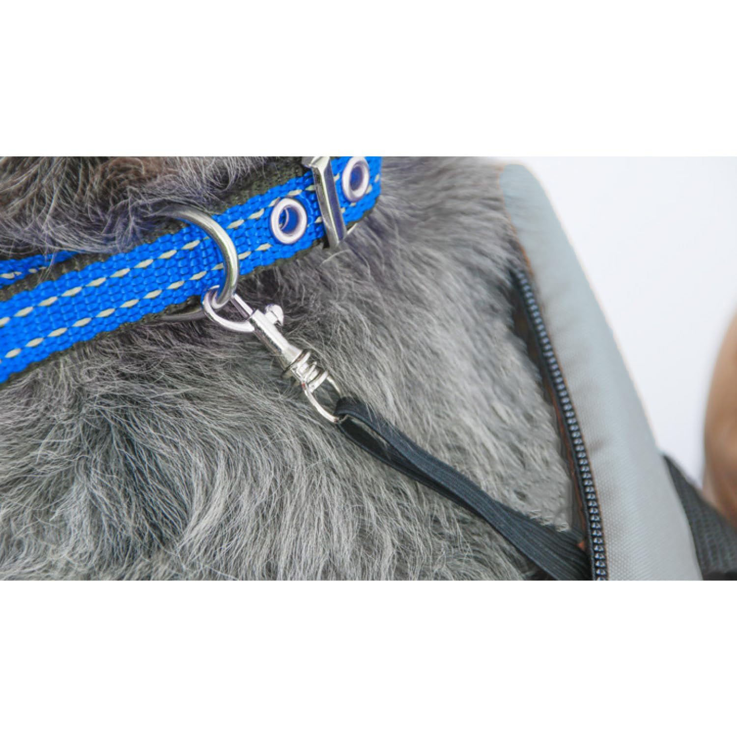 Sac de Transport pour Chiens et Chats, Sac à bandoulière pour Animaux domestiques, Sac pour Chiens de Petite Taille, Sac de Transport léger pour Chiens Sac pour Animaux domestiques, Sac pour Chats