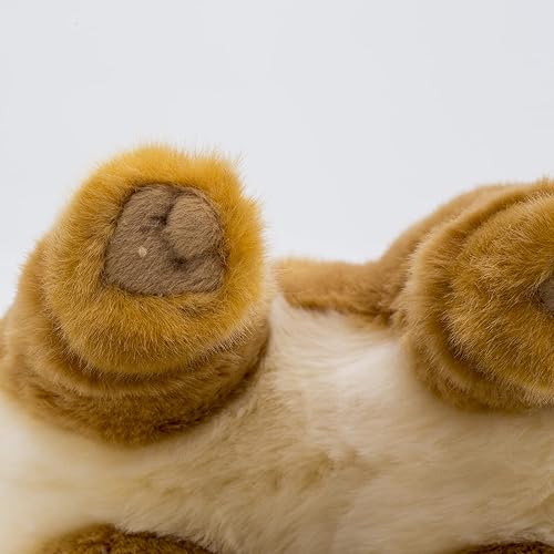 Miniatura 4 de CU-MATE - Perro de peluche de Pomerania de 12 pulgadas juguetes de peluche realistas para cachorros bonito regalo para mascotas para niños