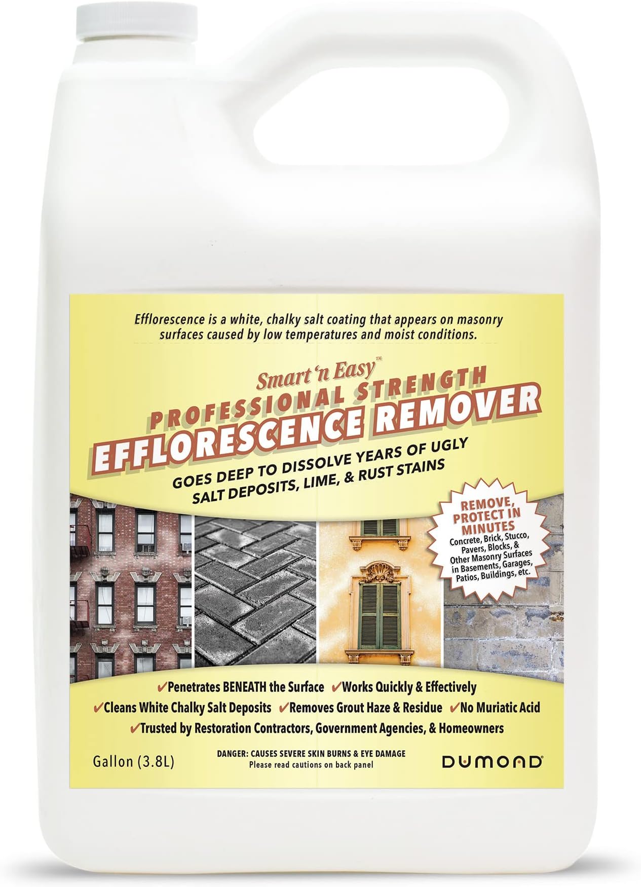 Smart 'n Easy Efflorescence Remover - Heavy Duty Professional Strength Formula - Removes The Toughest Salt, Calcium, and Magnesium Deposits from Concrete, Brick, Stucco, Pavers, & More - 1 Gallon