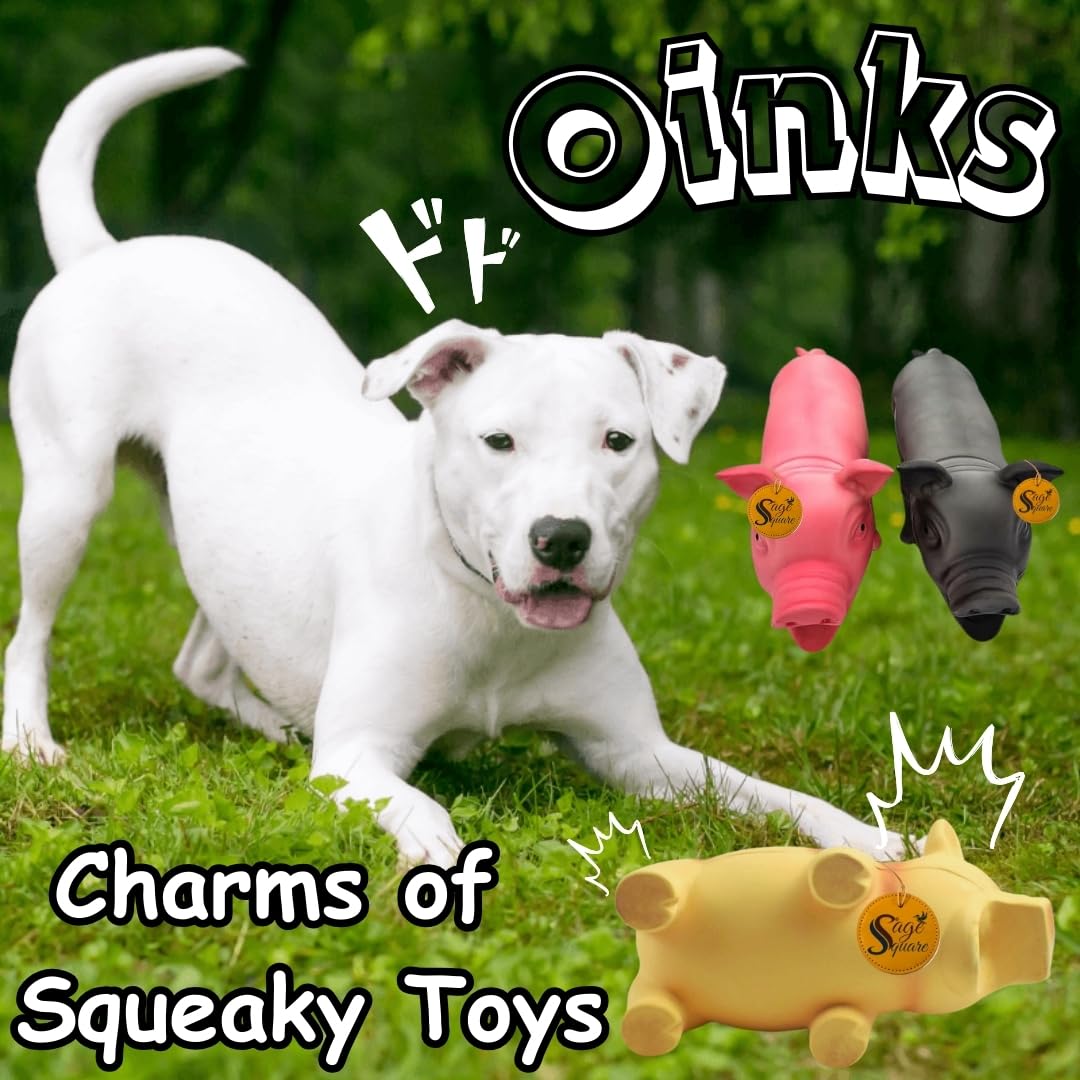 Sage Square Squeaky Rubber Pig Toy for Dogs & Cats: Unleash The Chew Cravings with Loud Squeak, Entertained for Hours, Interactive Rubber Toy, Tugs and Squeezes, Barking Glees, Fun with Pig 4