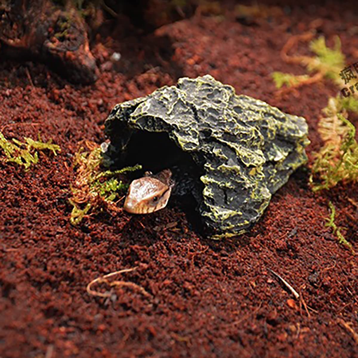 Refugio Cueva Reptil, Piel Dragón Barbudo, Santuario Hábitat Piel Baño Tortugas Marinas Y Reptiles En Acuario, para Decoración Hábitat Terrarium,C