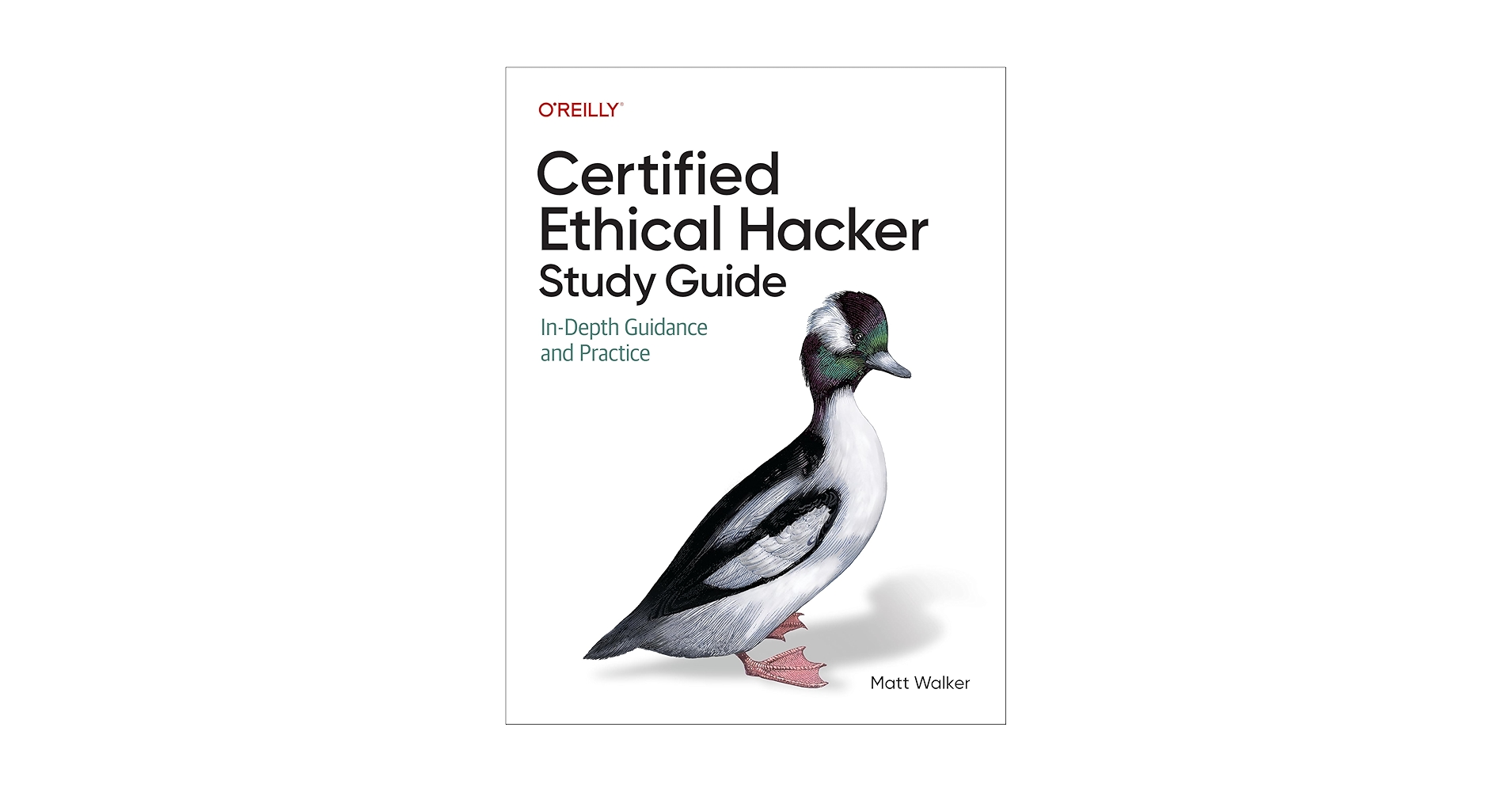 CEH テキスト CEH Certified Ethical Hacker Cert Guide, 4th Edition
