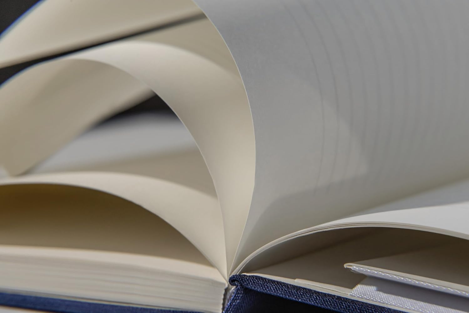Meaningful Conversations: Guided Journal for Aging Parents (Green)